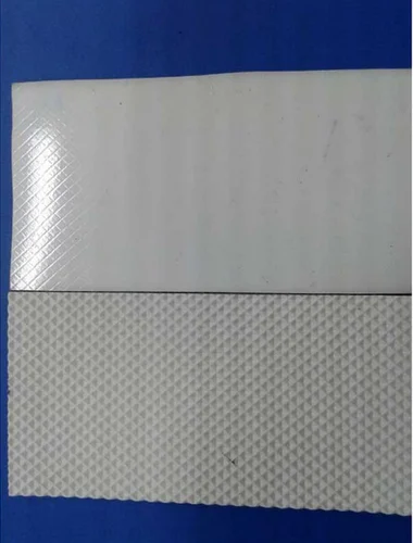 Fruits and Vegetables Conveyor Belt